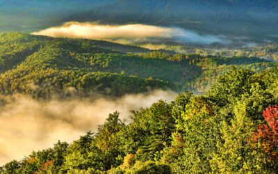 Great Smoky Mountains National Park Moves Forward With Mountain Bike Trail Plan